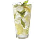 Yaban Mersinli Mojito  1 Kiilik